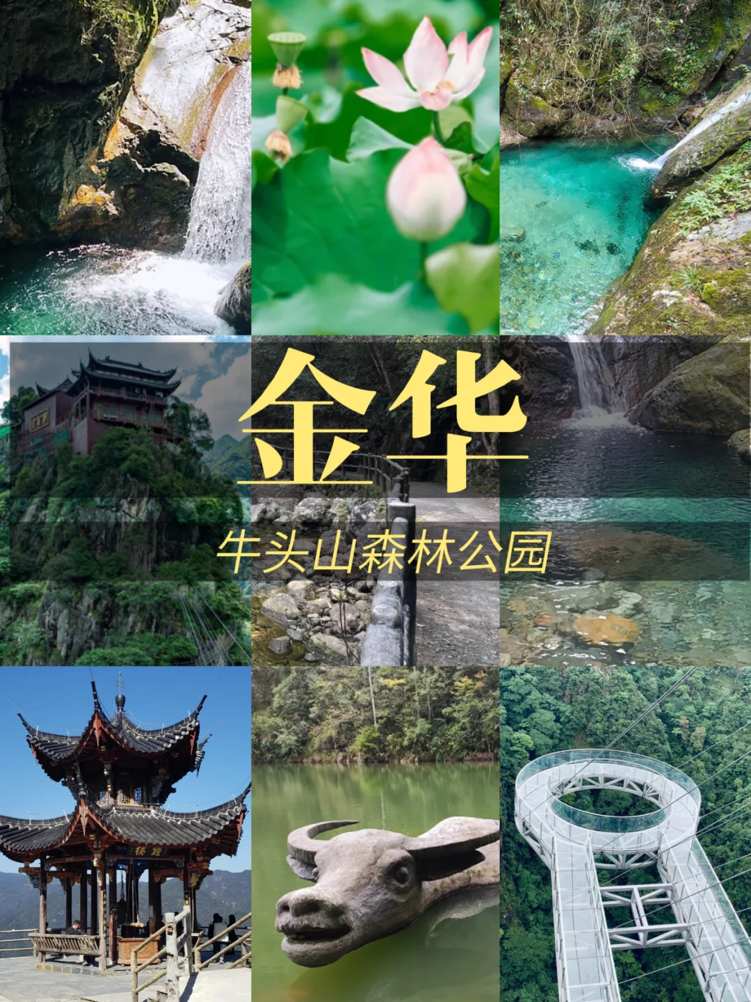 浙江秋假免费遛娃地图🔥全省通用不踩雷