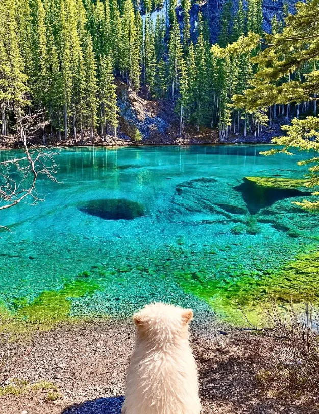 deepseek推荐国内最值得去的15个旅游地！