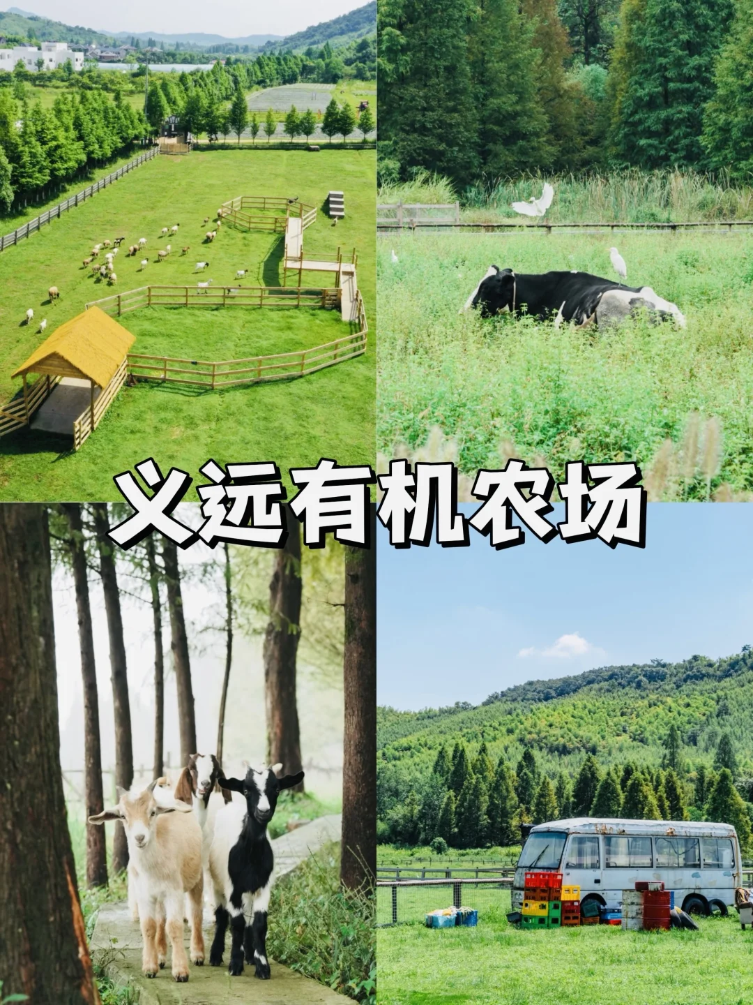 德清必打卡的九个景点！超全攻略✅