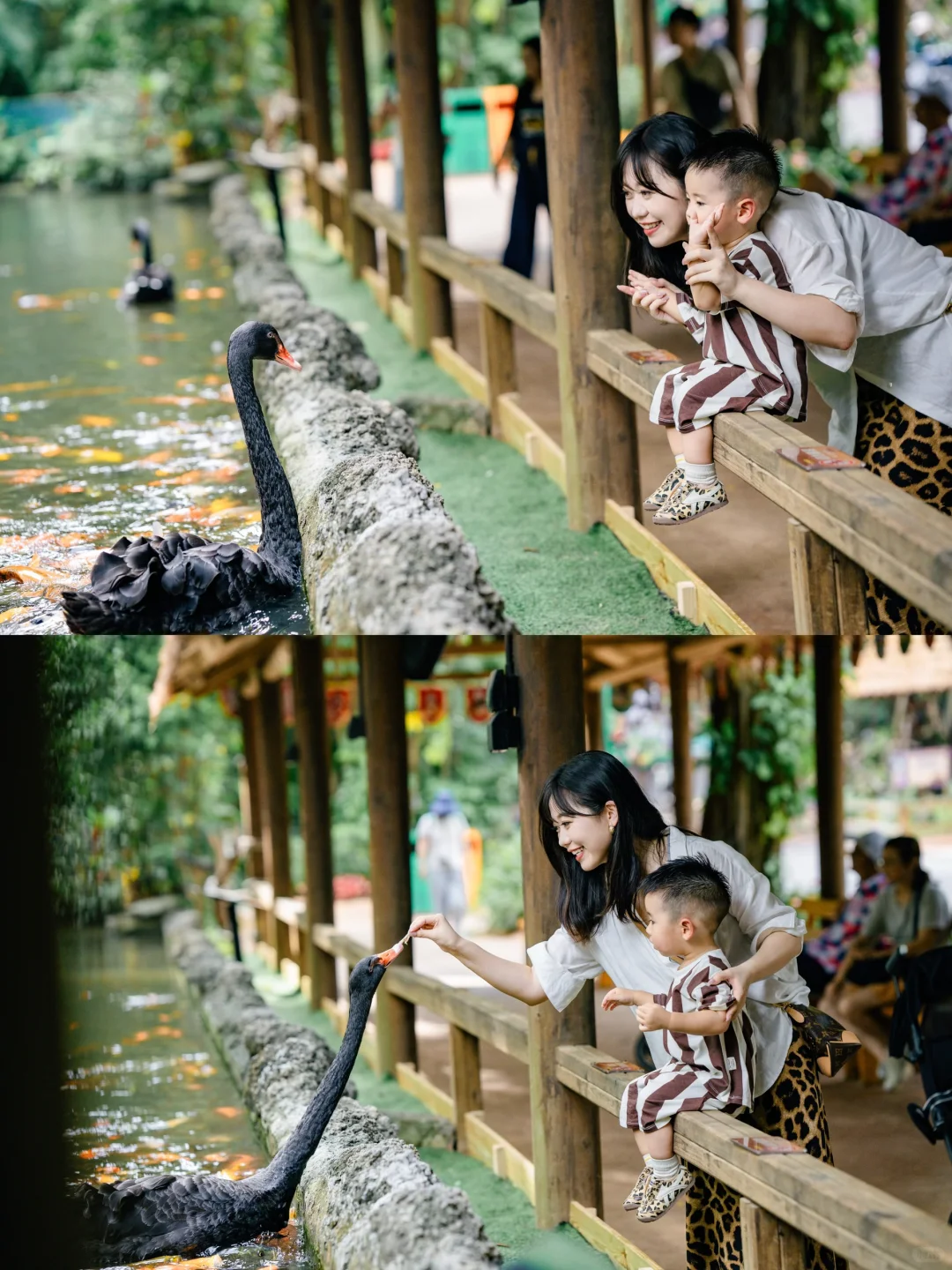 是谁带宝宝去长隆拍到了好看的照片📷