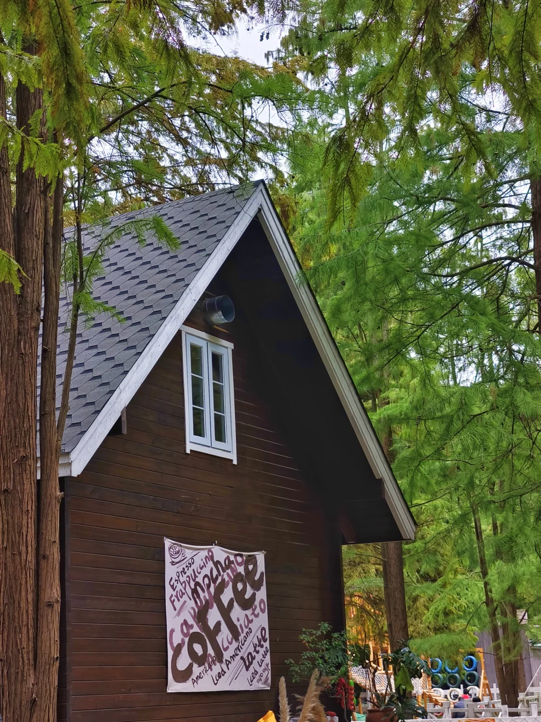 杭州‖水中森林，小仙女们必打卡