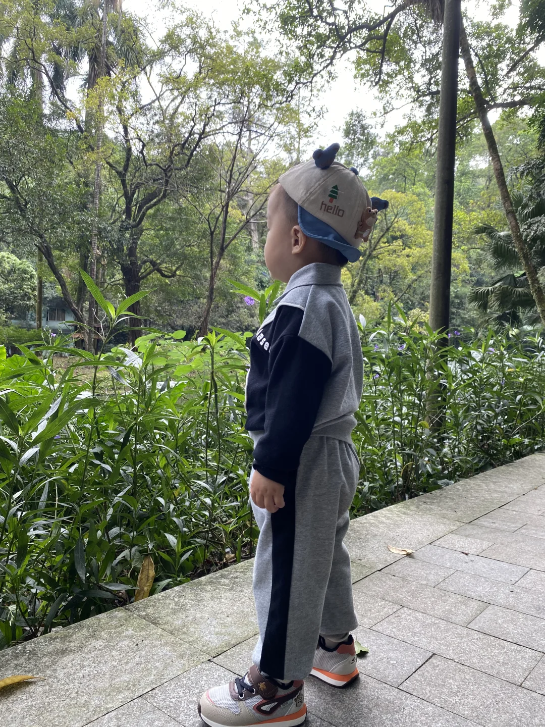 广州必玩之越秀公园超全攻略🎬