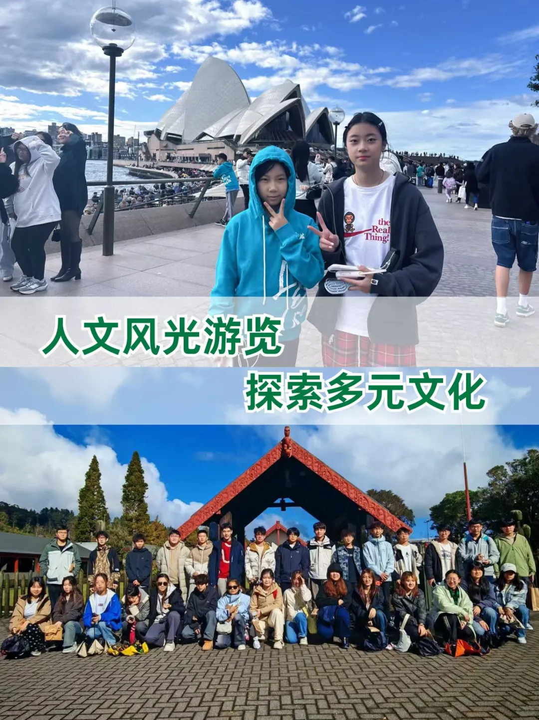 2026澳新游学清单🐨南半球反季节出行攻略