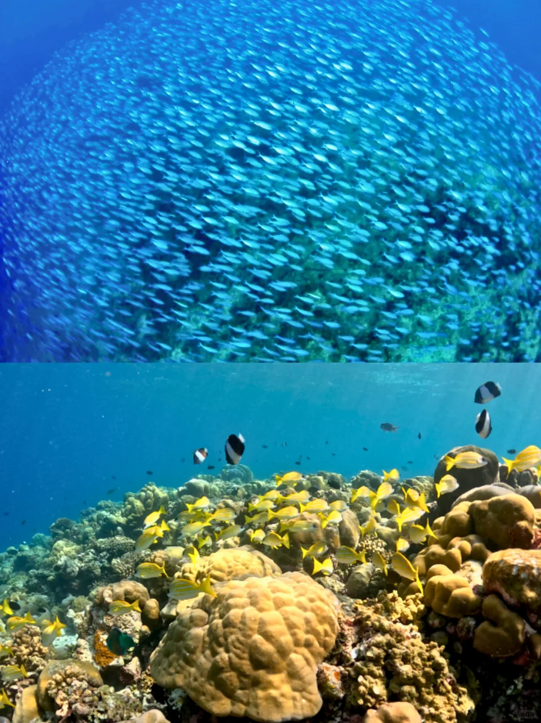 马尔代夫3000+一价全包，居然被质疑诈骗？