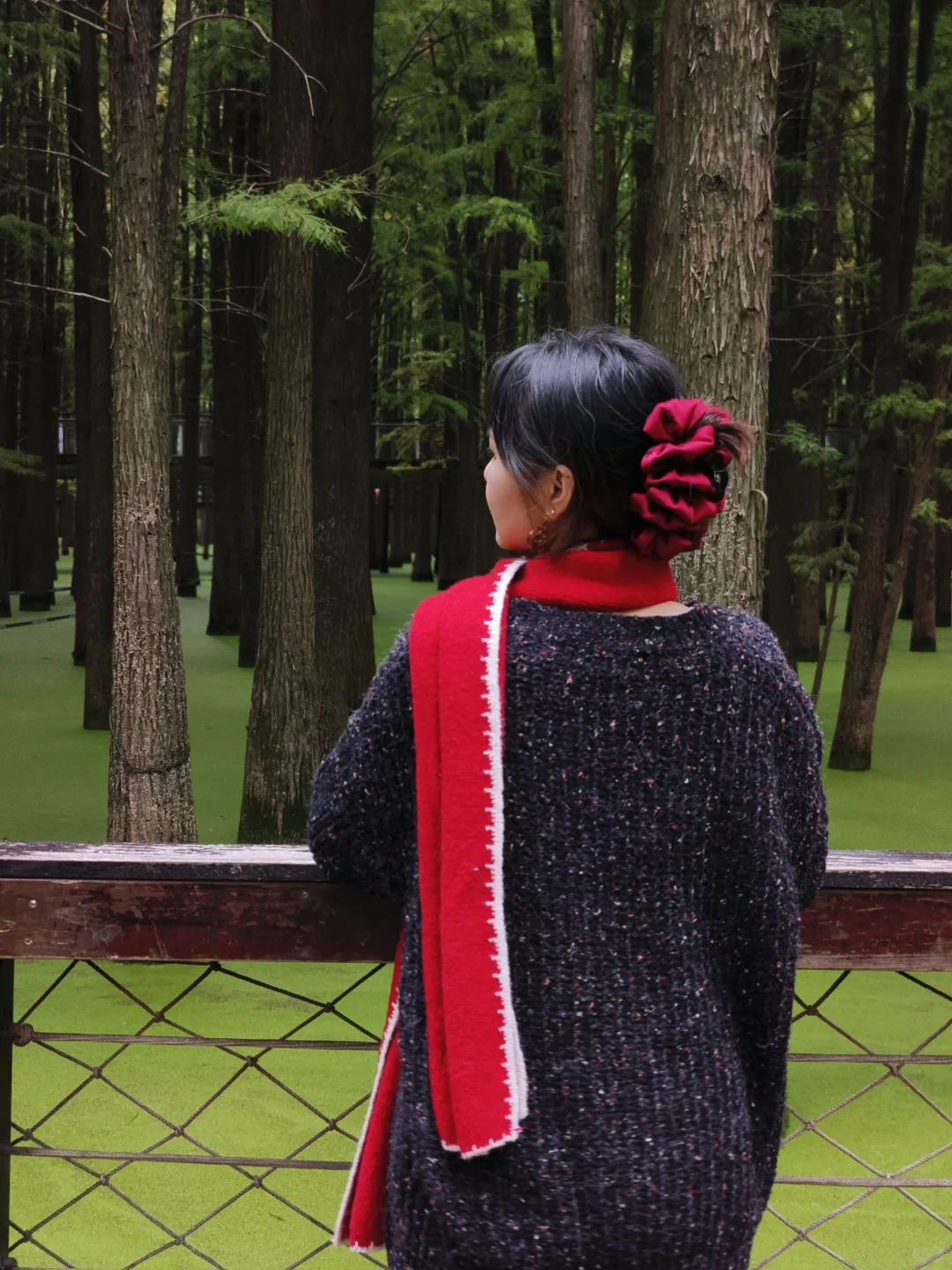 杭州‖水中森林，小仙女们必打卡