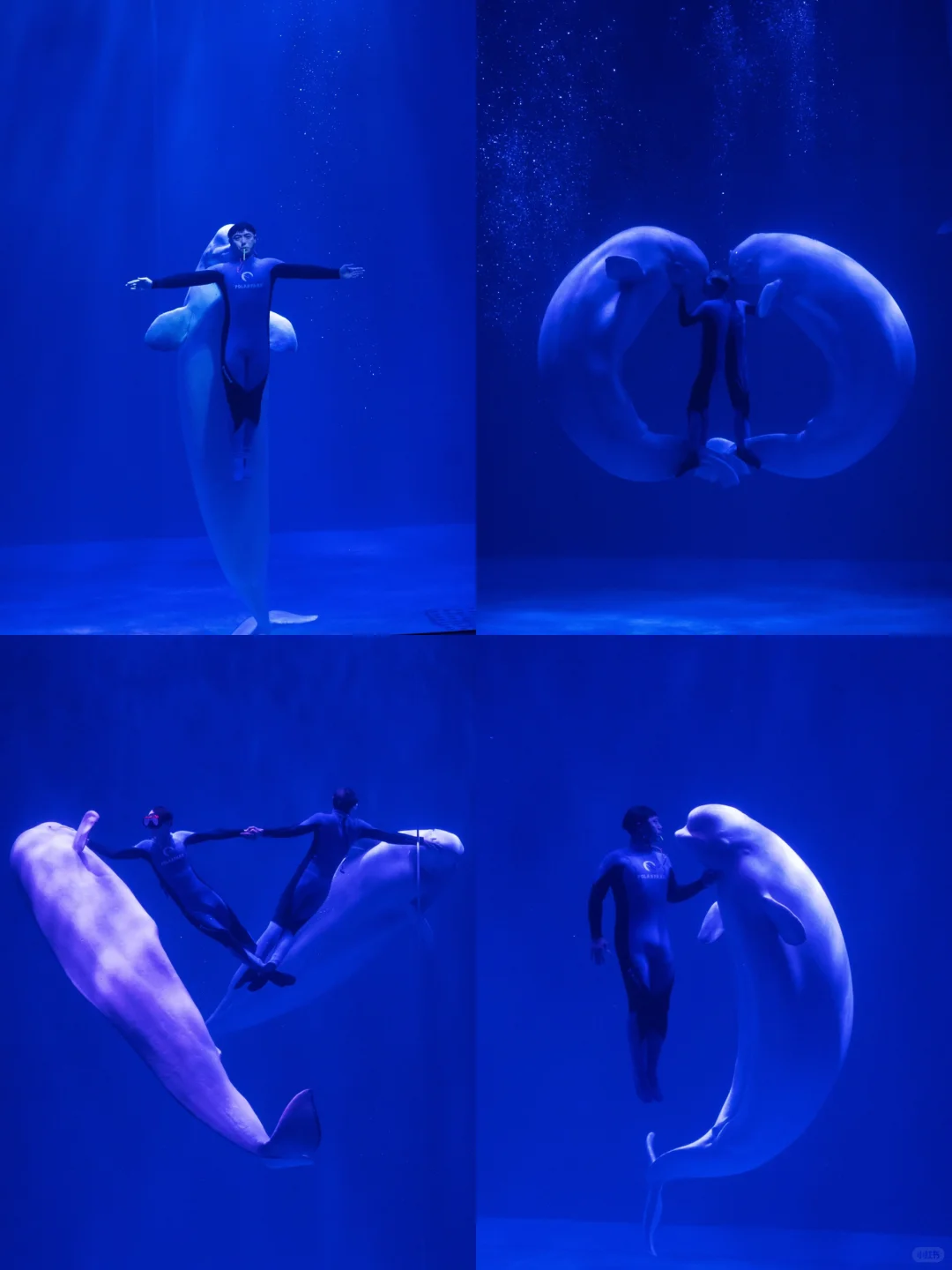 哈尔滨2天1夜不回头路线‼️懒人直接照抄👌🏻