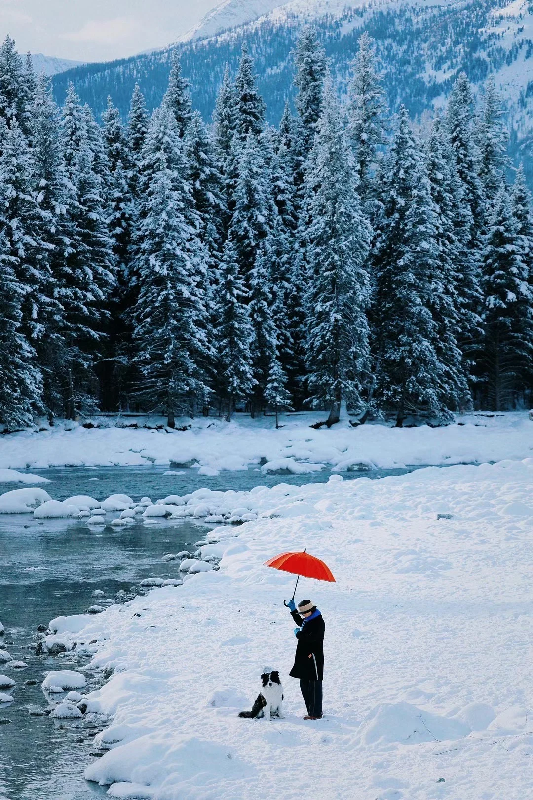 今年冲禾木喀纳斯，选对团直接赢麻！