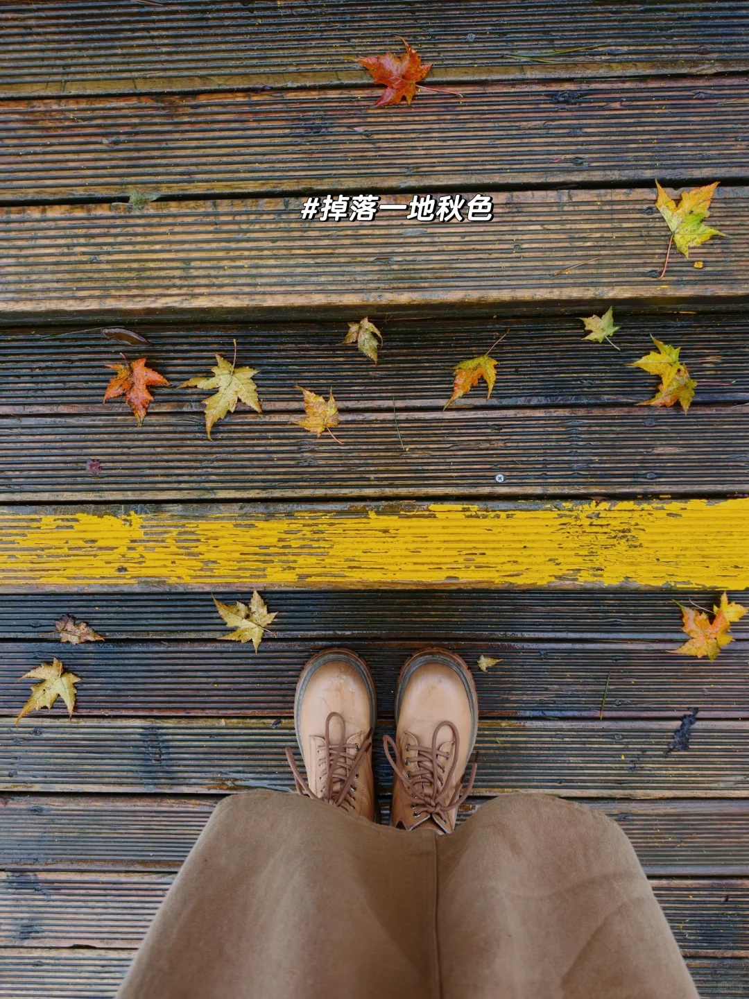 被《国家地理》安利的红叶第一山有多绝❗️