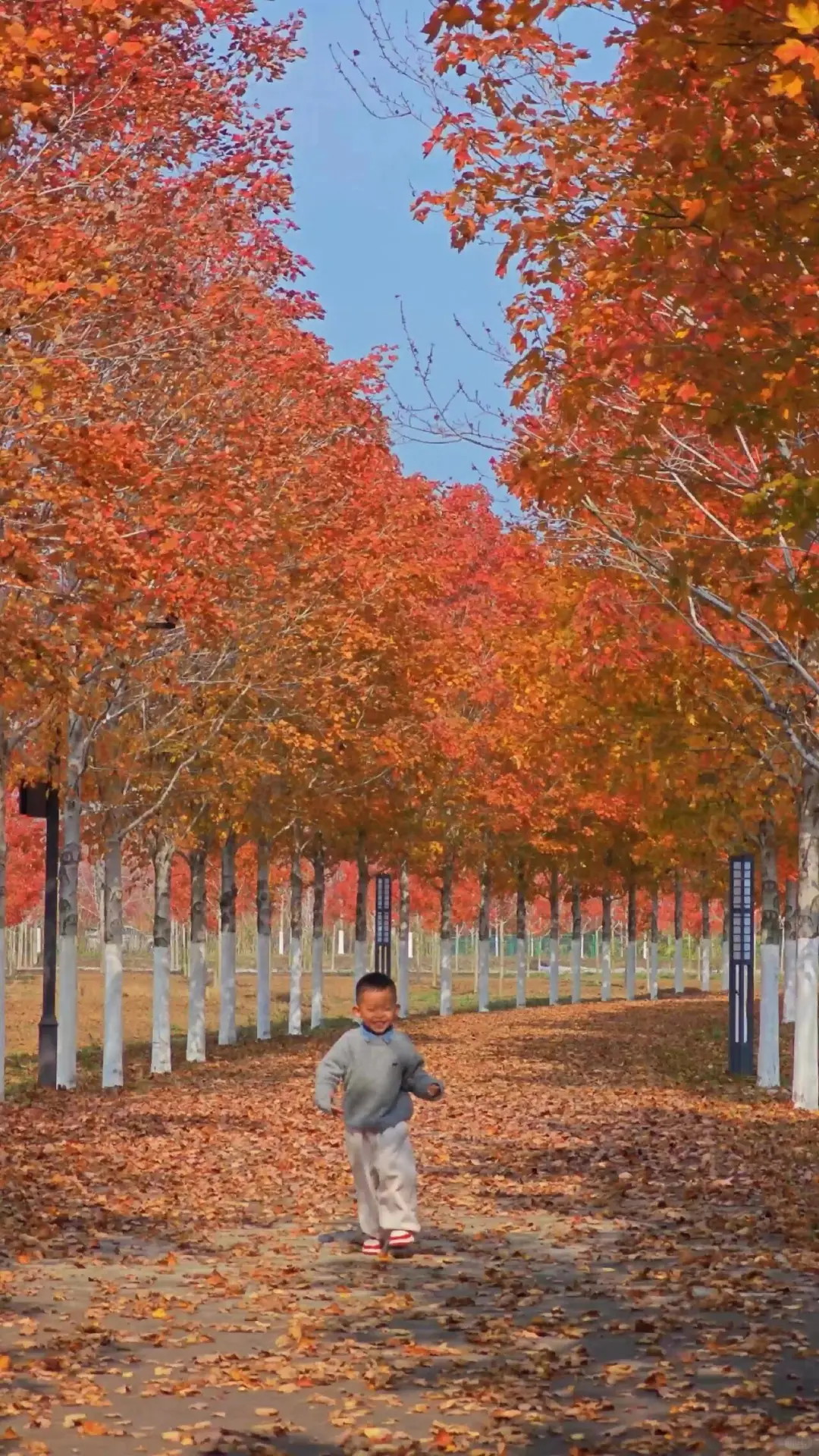 徐州秋天必来的公园坐火车赏枫、露营美翻了