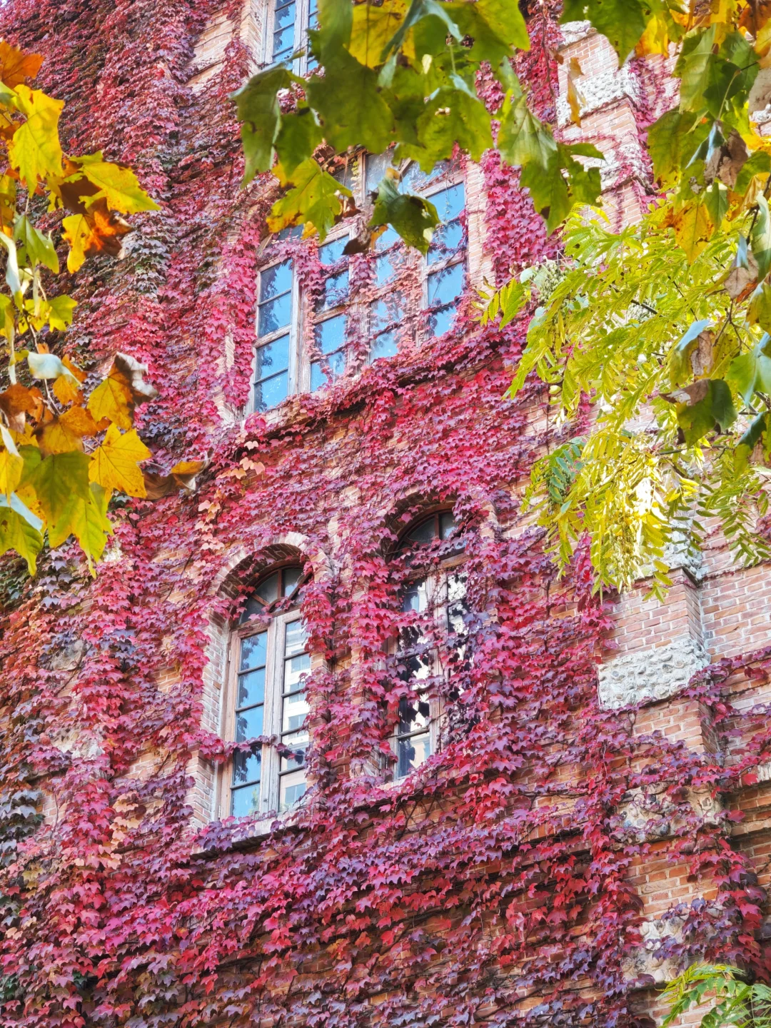 11.5实况❗天津古堡迎来了浪漫💞的时刻～