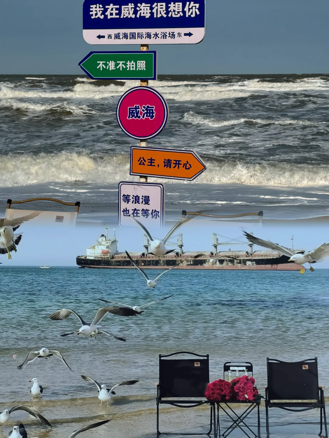 11月一定要去一次烟台！！！