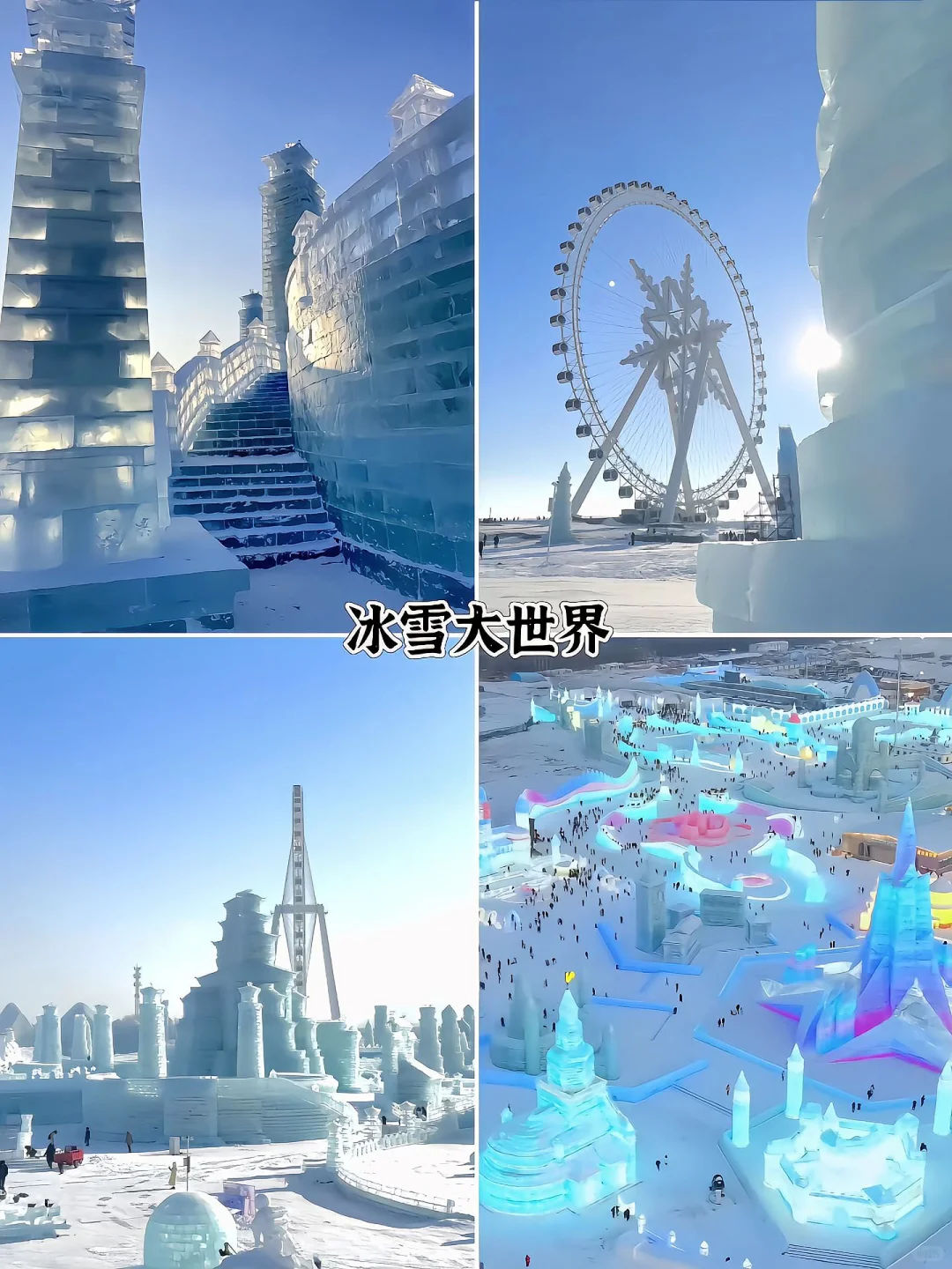 去哈尔滨必打卡的九大景点