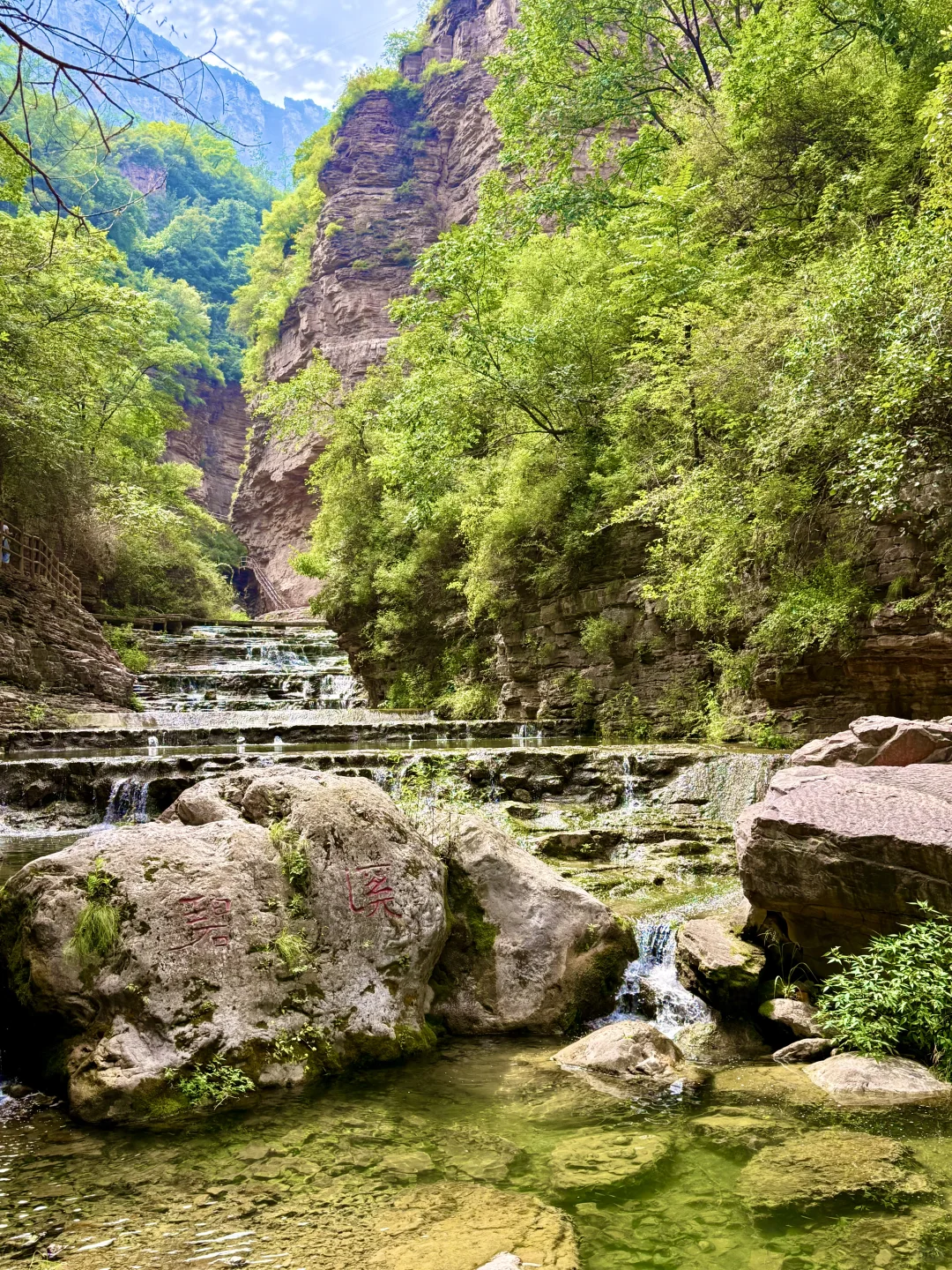 十一必打卡！邂逅金色秋天的最美色彩之旅！✨