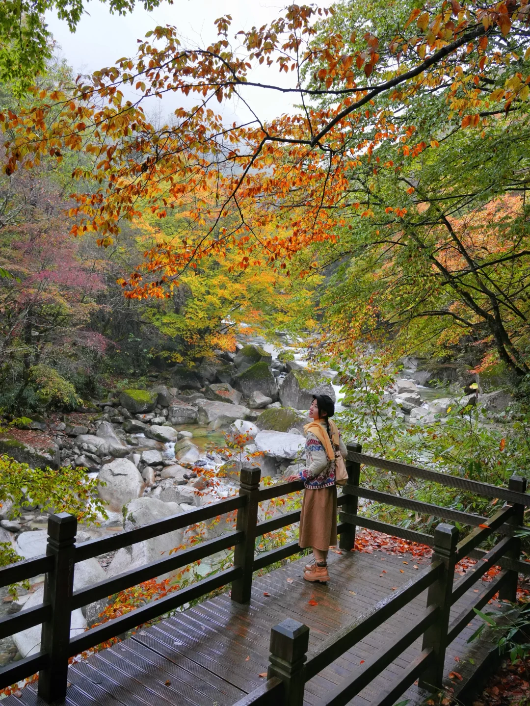 被《国家地理》安利的红叶第一山有多绝❗️