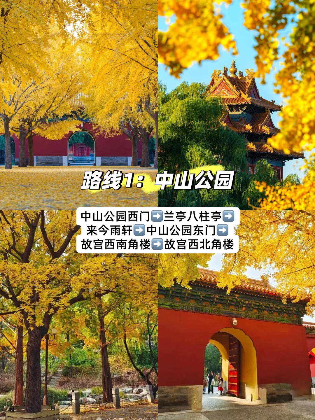 11月初北京必逛的citywalk和赏秋路线❗️❗️