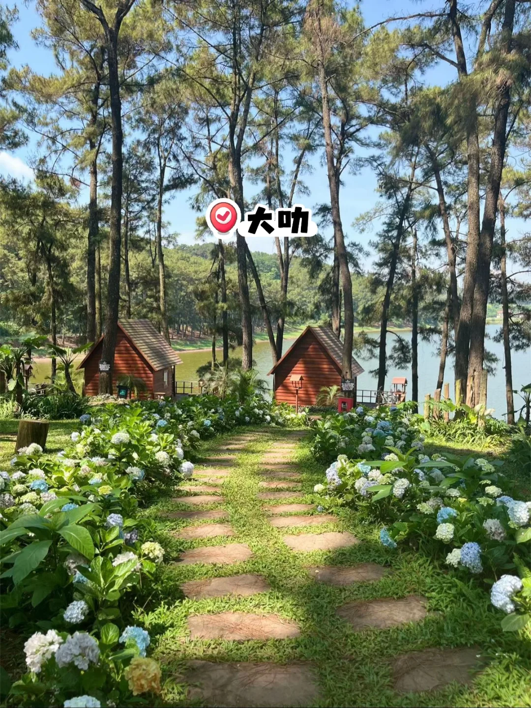 🇻🇳越南｜99%游客意想不到的宝藏景点 超绝