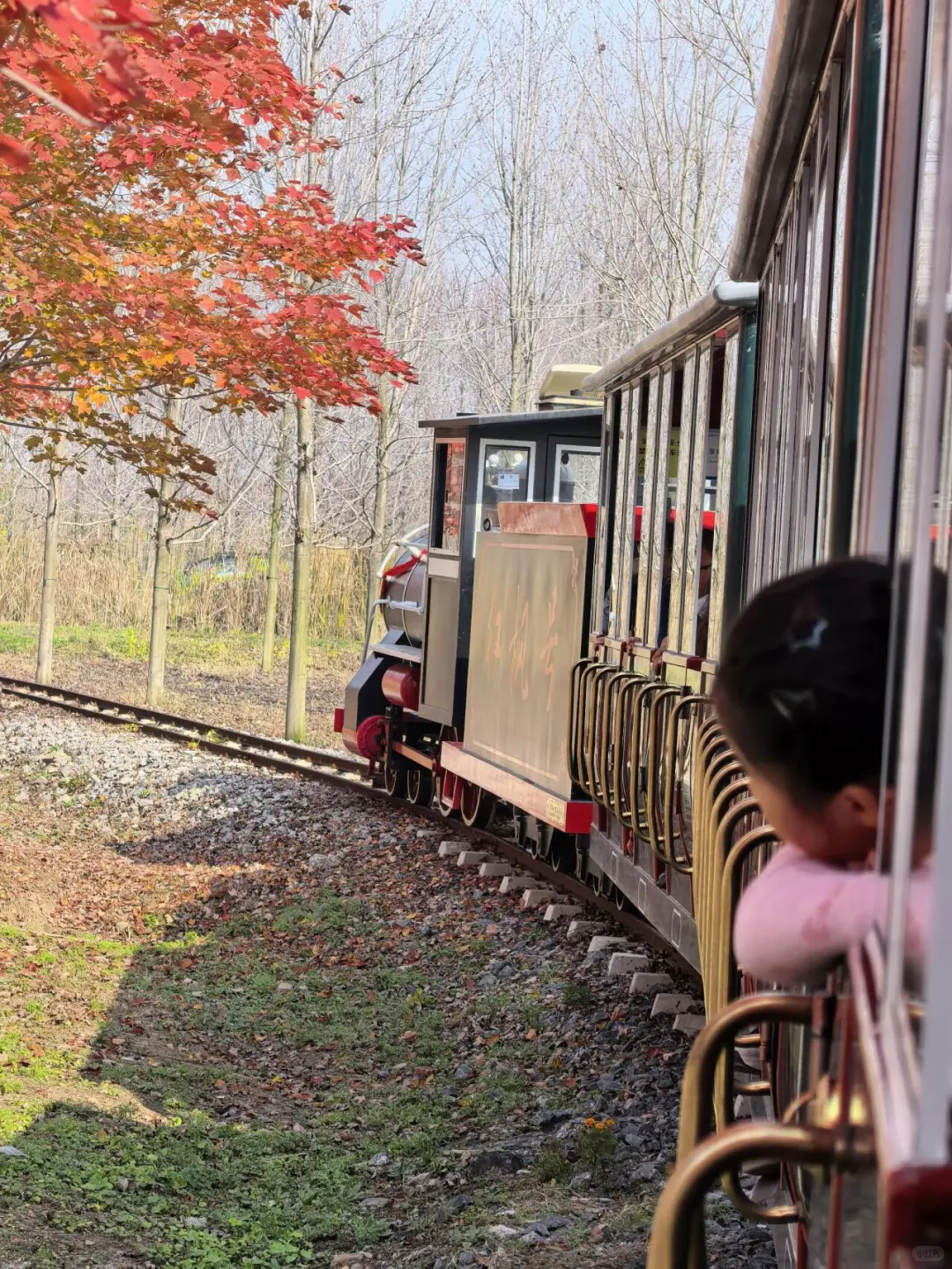 徐州秋天必来的公园坐火车赏枫、露营美翻了