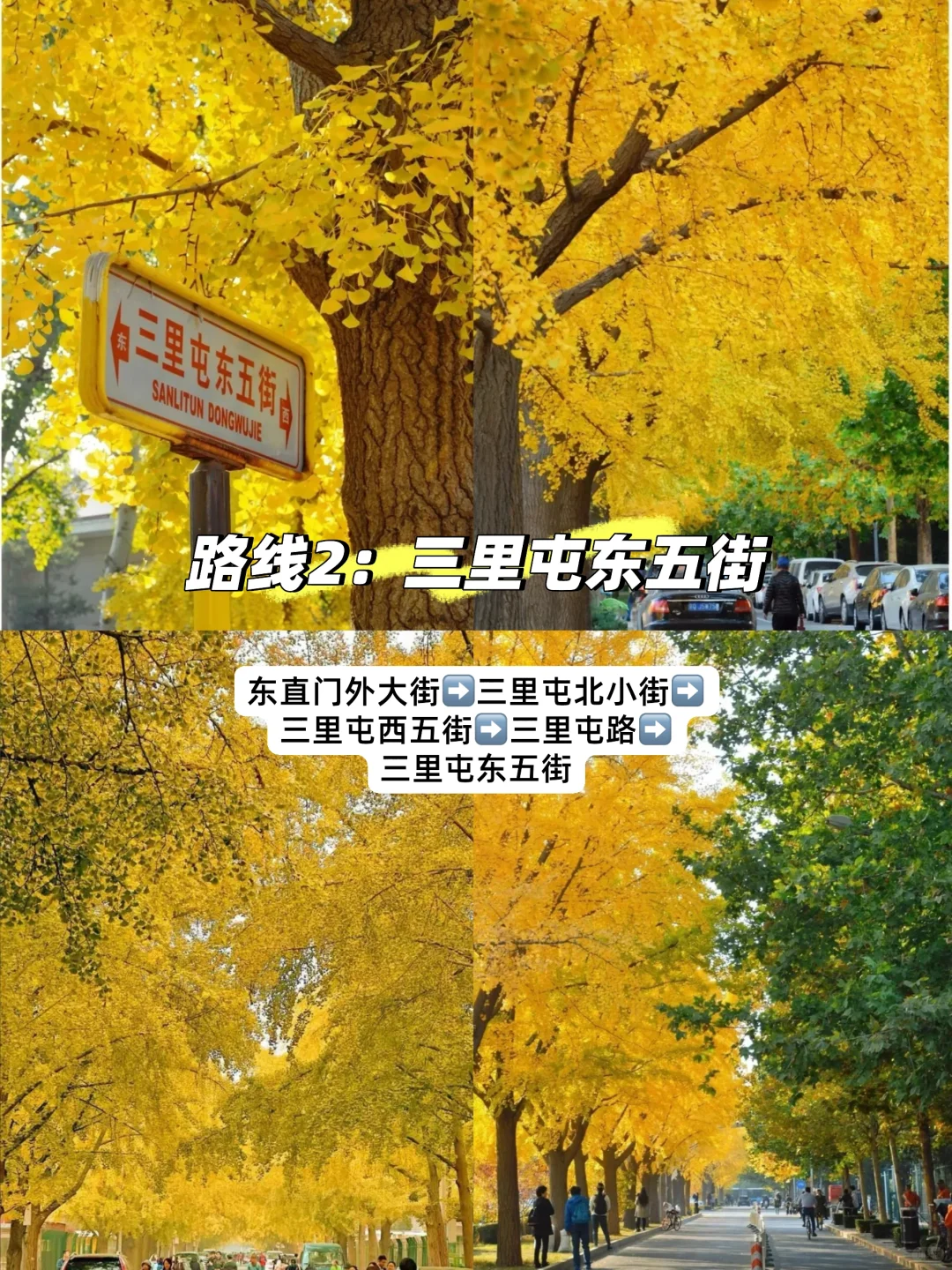 11月初北京必逛的citywalk和赏秋路线❗️❗️