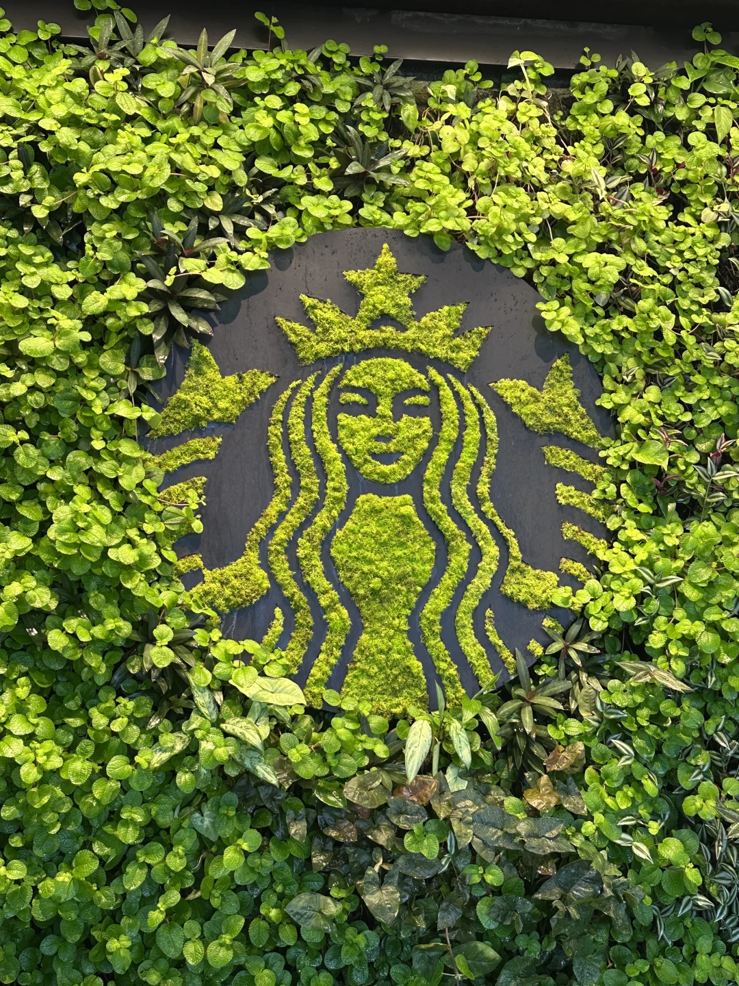 哥斯达黎加🇨🇷｜最全旅游攻略（上）