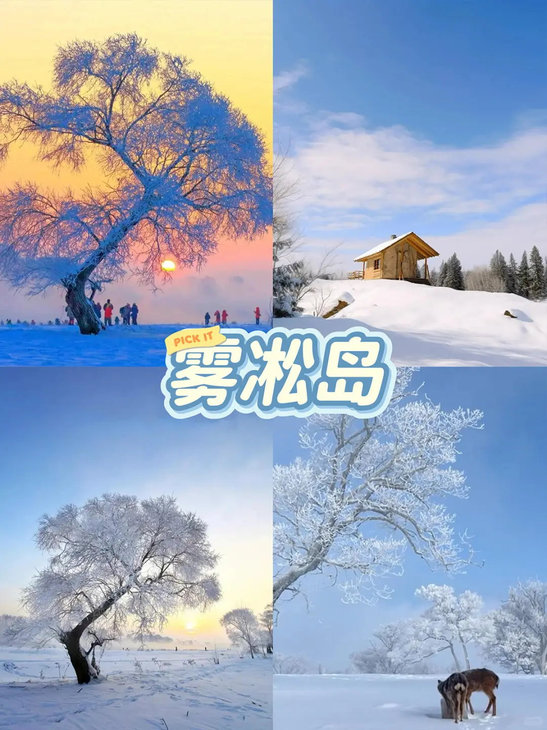 谁懂啊！去东北玩看这一篇笔记就够了！！