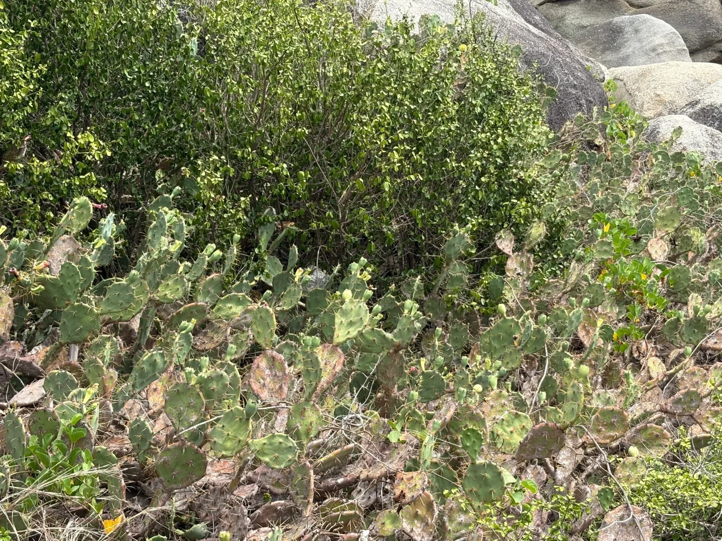 三亚｜大小洞天值得一去