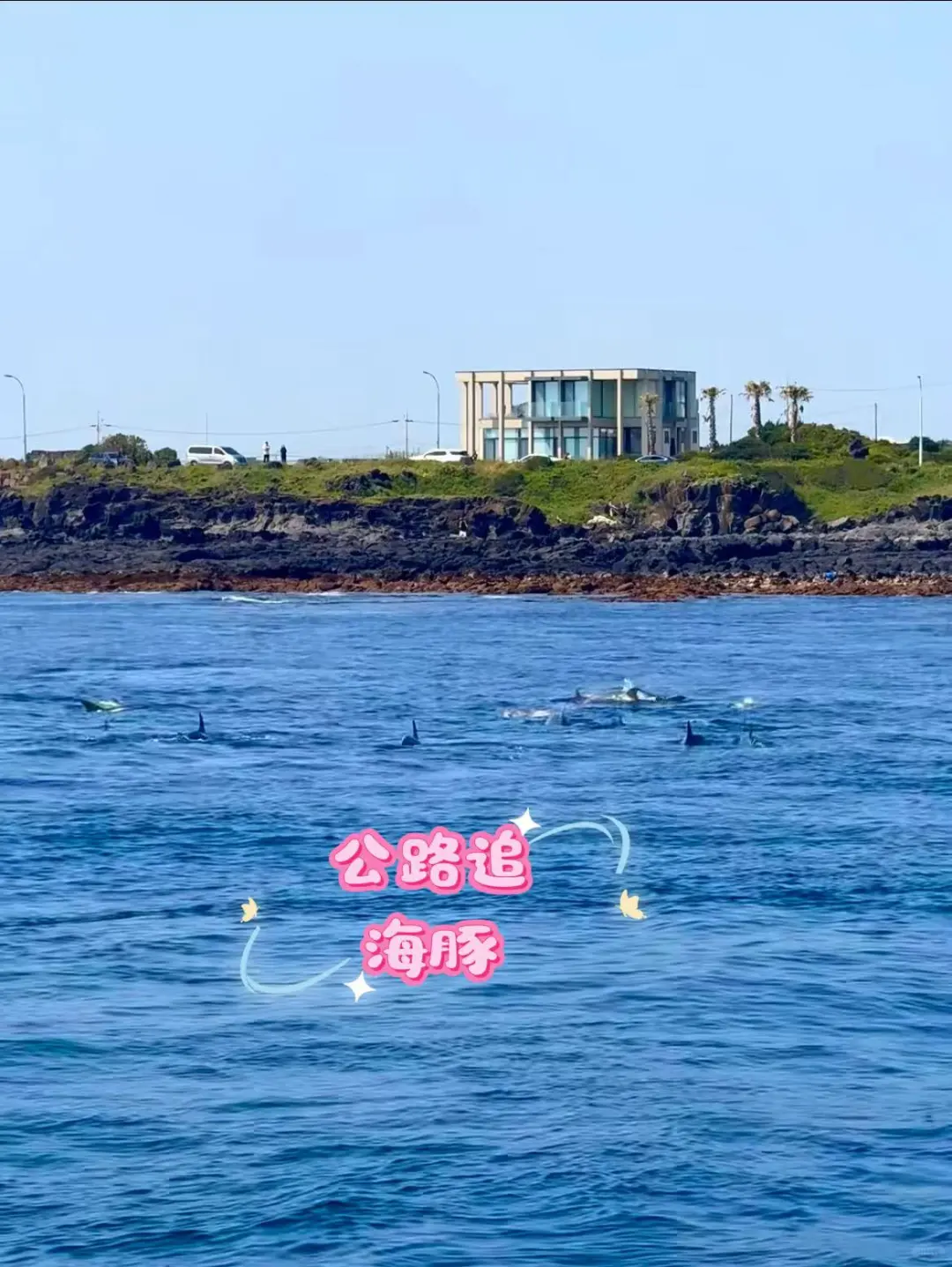 济州岛新西南线1日游|一天玩遍网红景点