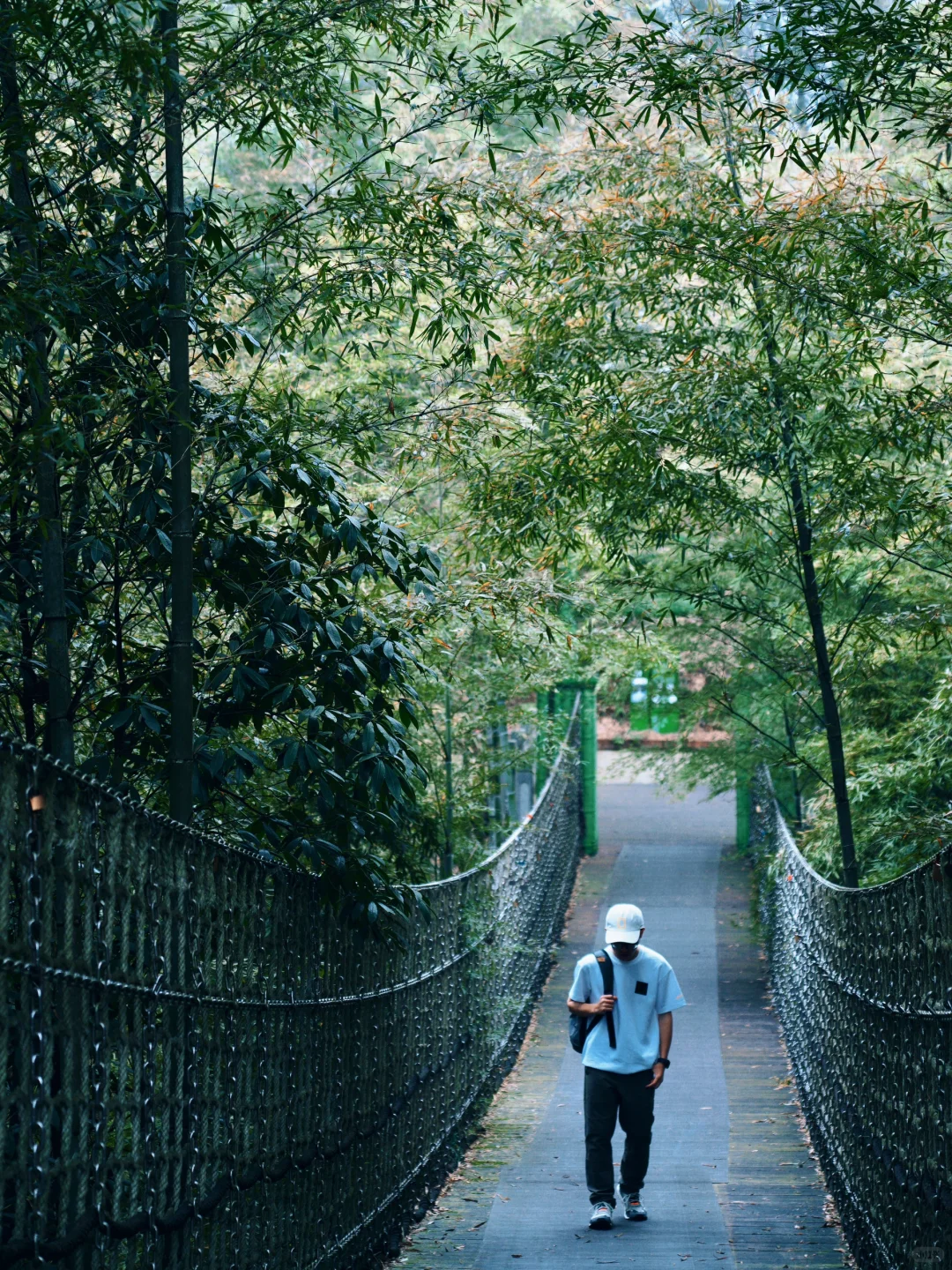 《国家地理》没骗我！真的是被低估的宝藏小城
