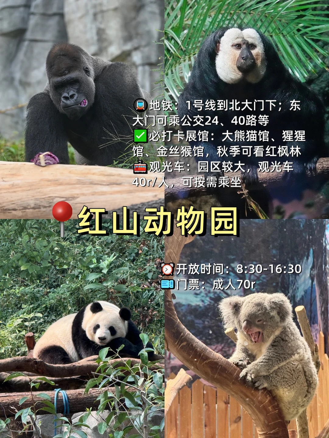 假期直接抄作业！南京旅游必打卡9大景点！