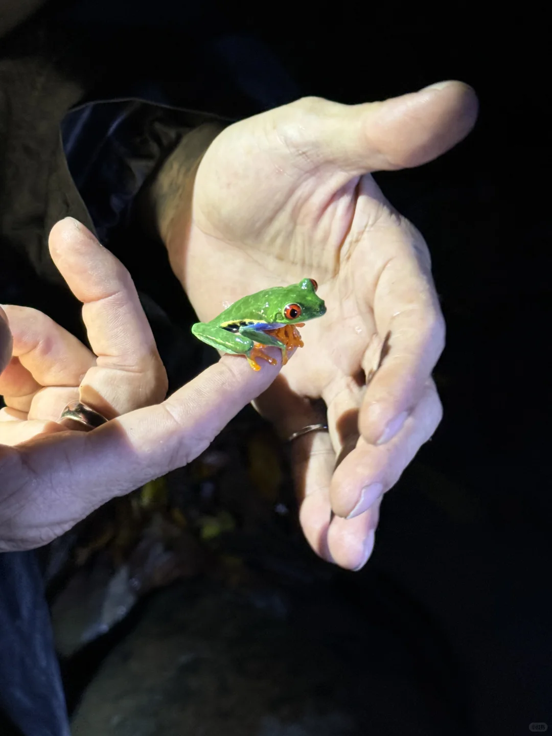 哥斯达黎加🇨🇷｜最全旅游攻略（上）