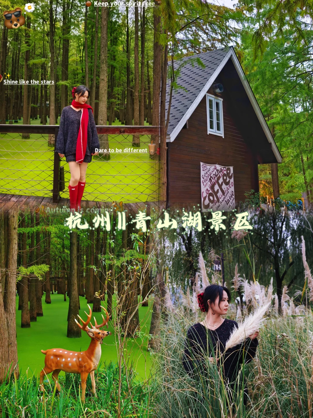 杭州‖水中森林，小仙女们必打卡