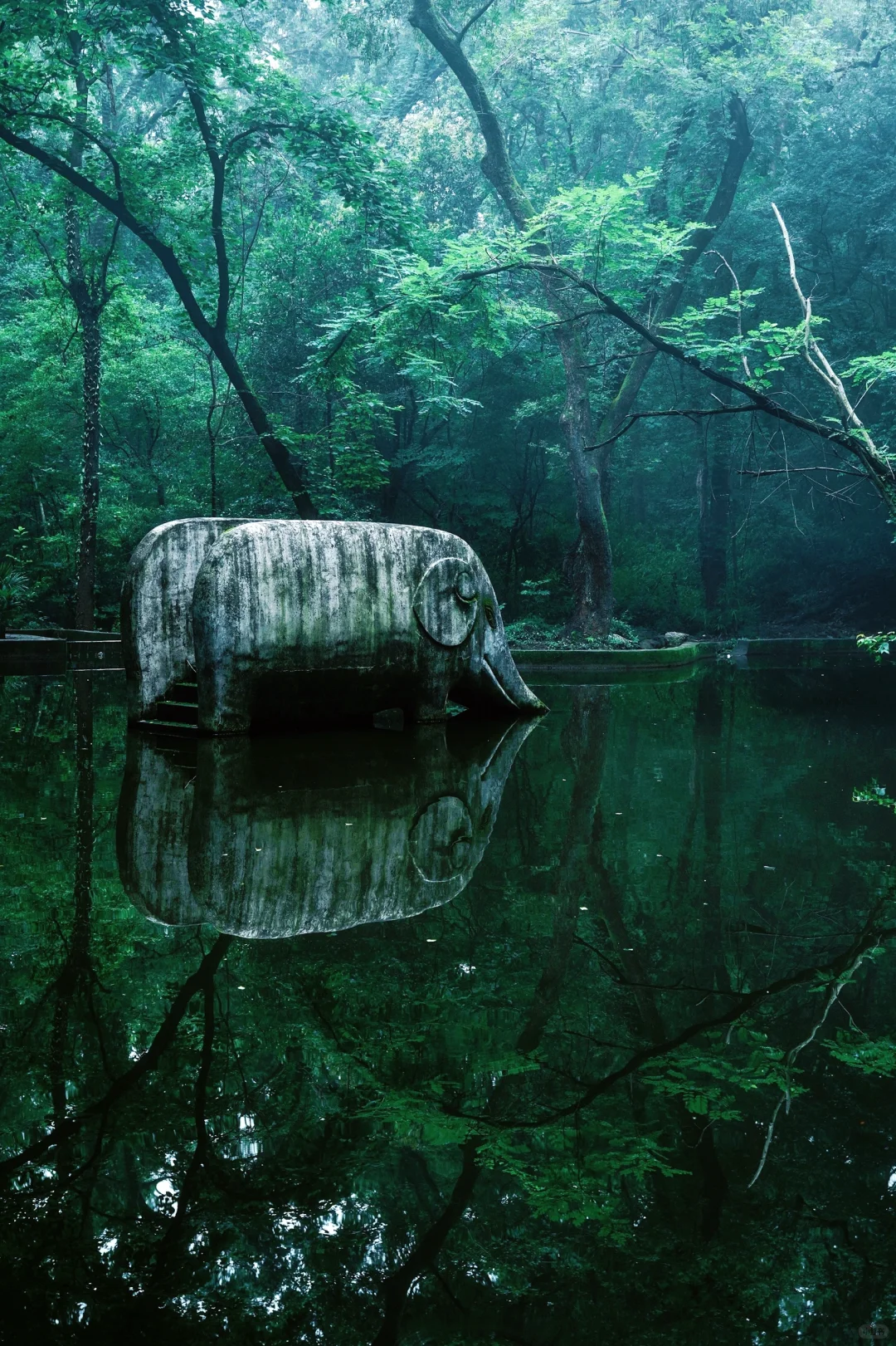 神秘感拉满❗南京本地人才知道的森林秘境