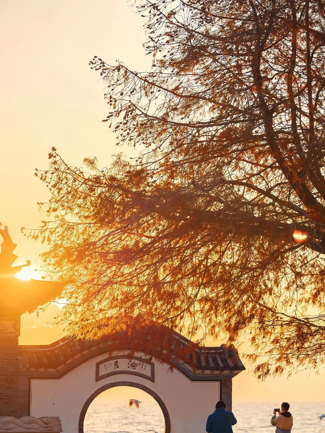 带父母来云南玩✅8天7晚探金秋🍂人均1k+