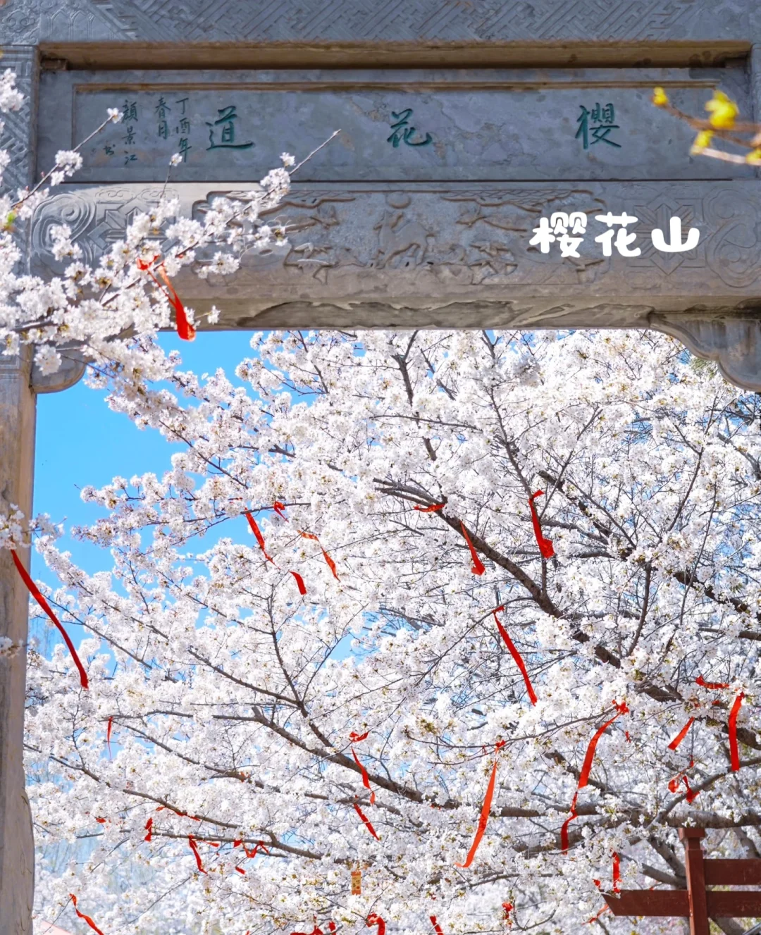 走遍全国333个地级市（第三站）滨州