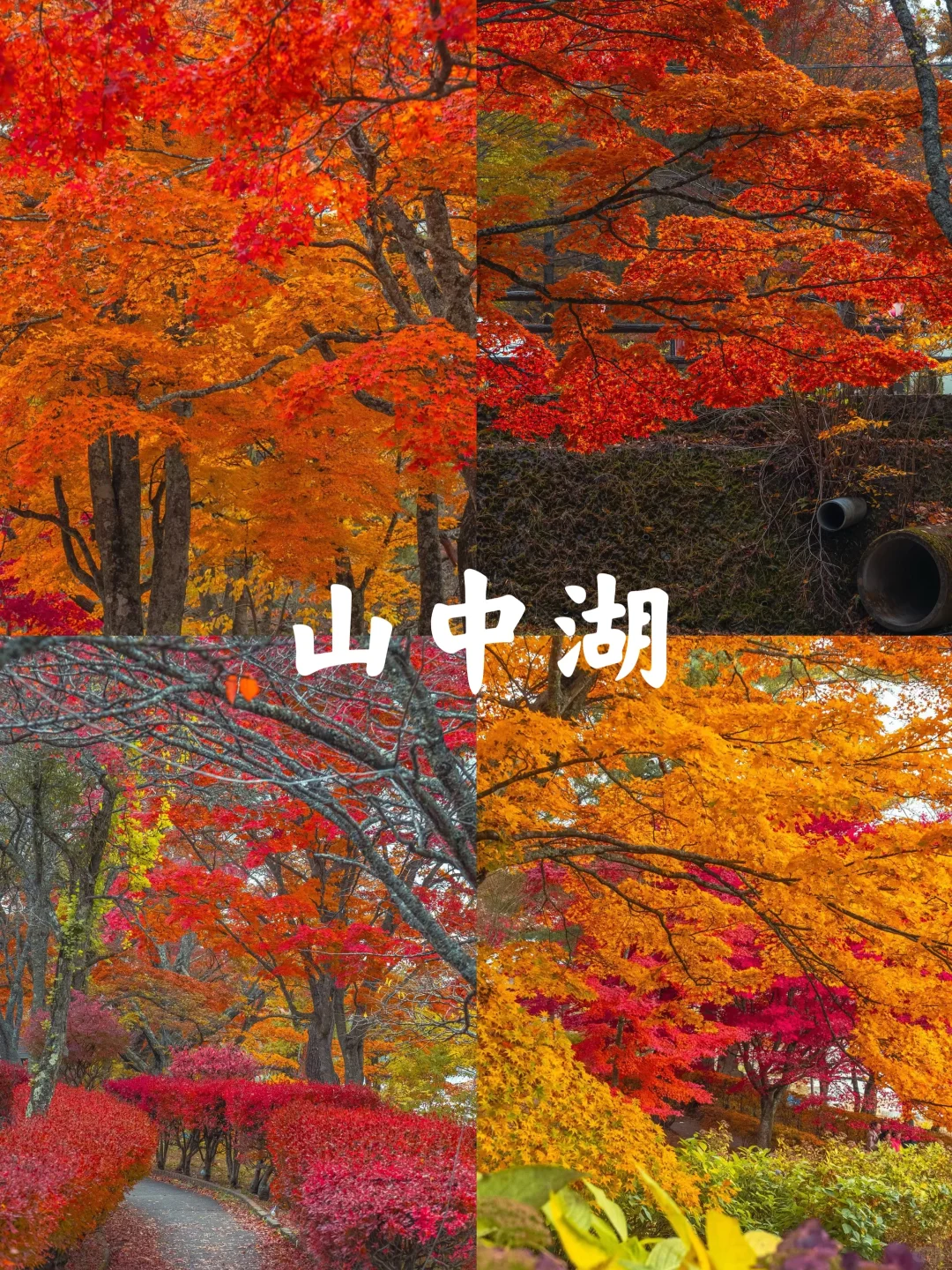 富士山｜秋季十大必打卡景点