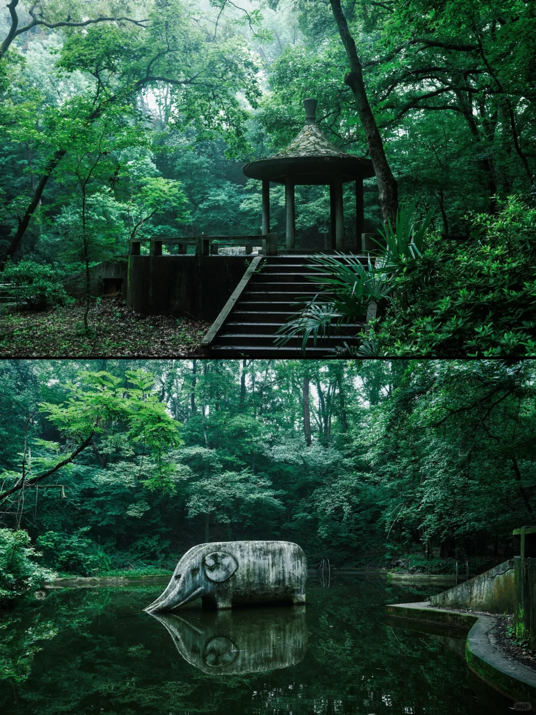 神秘感拉满❗南京本地人才知道的森林秘境