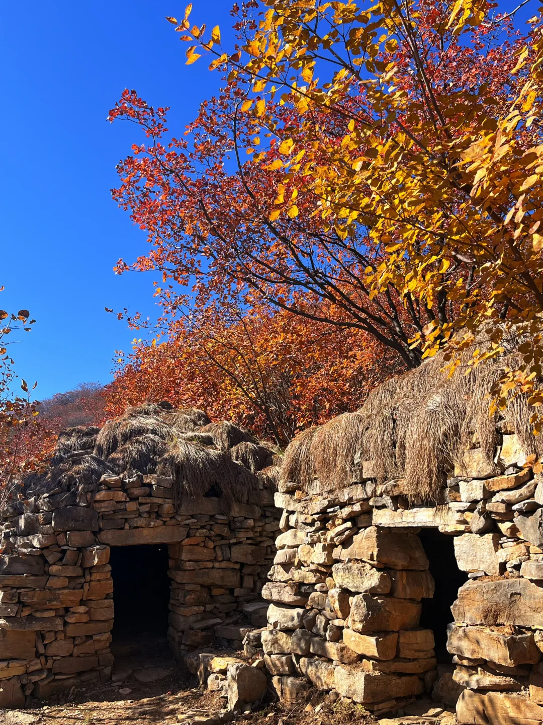秋天一定要去沙河佛照山！！！🍁