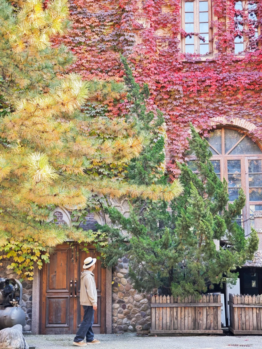 11.5实况❗天津古堡迎来了浪漫💞的时刻～