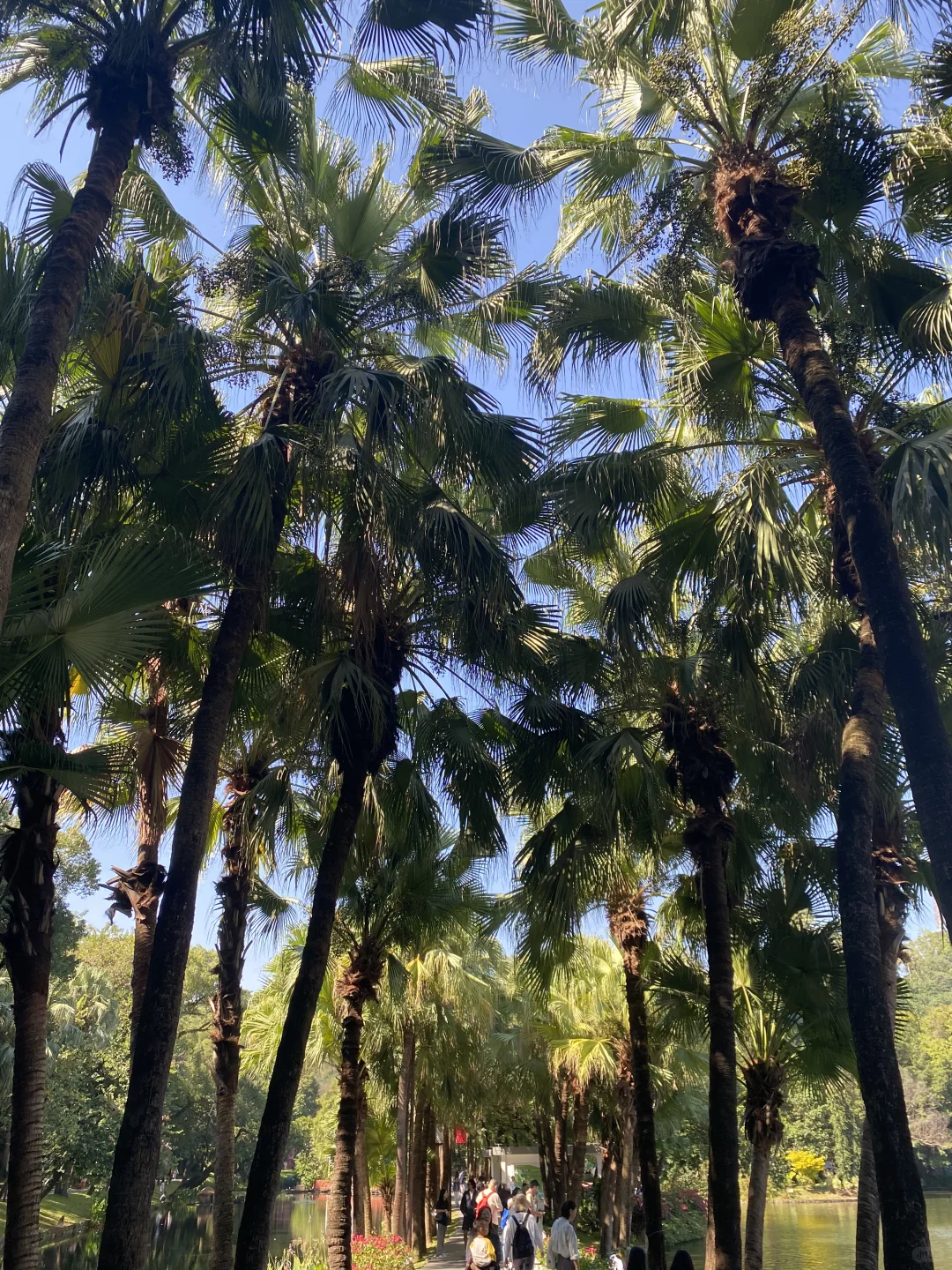 广州必玩之越秀公园超全攻略🎬