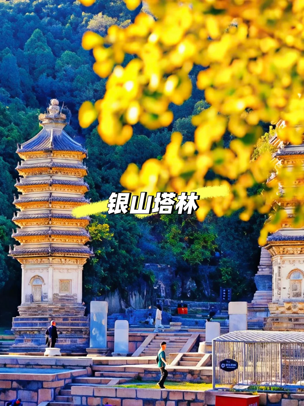 11月初北京必逛的citywalk和赏秋路线❗️❗️