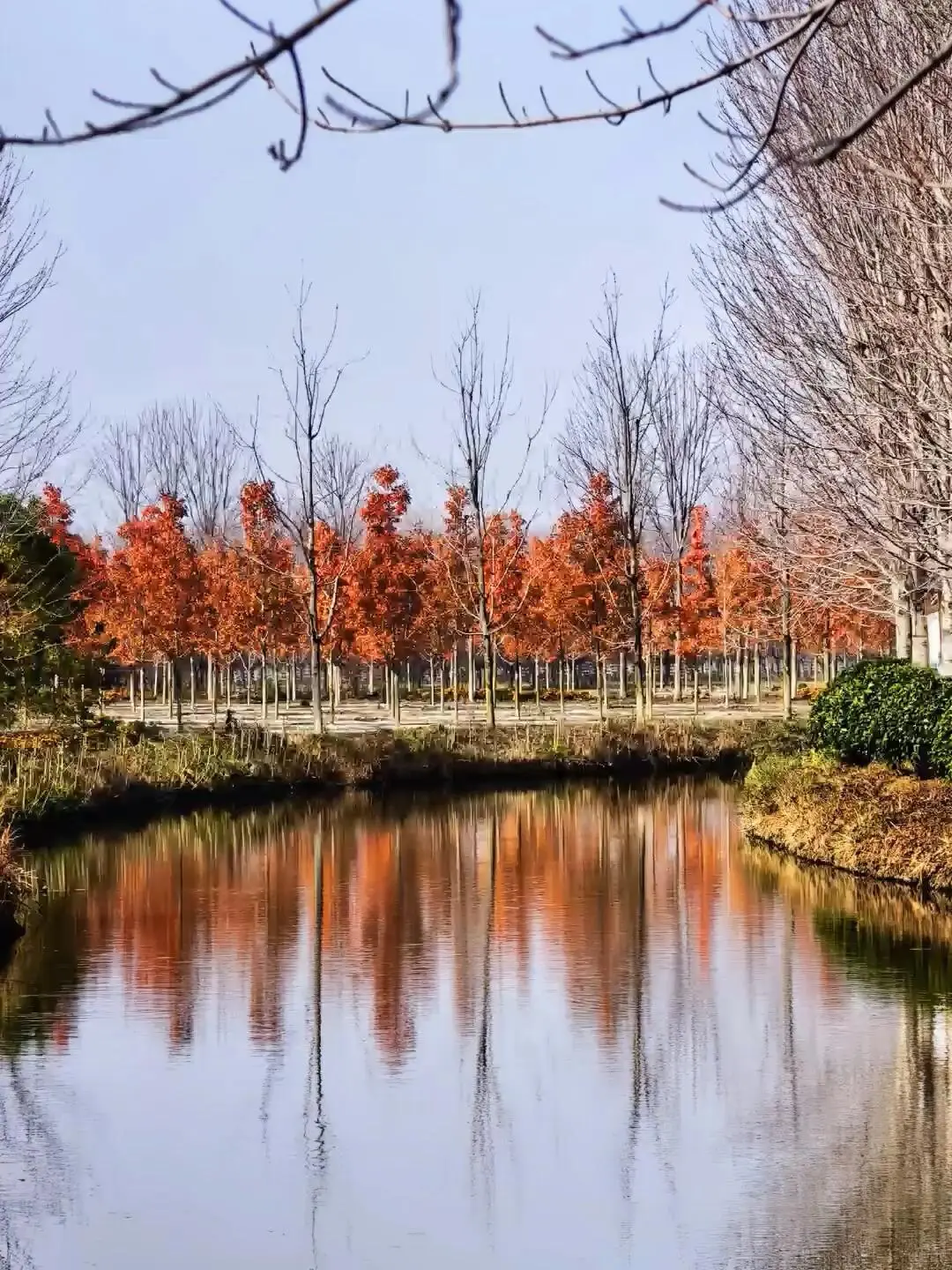 徐州秋天必来的公园坐火车赏枫、露营美翻了