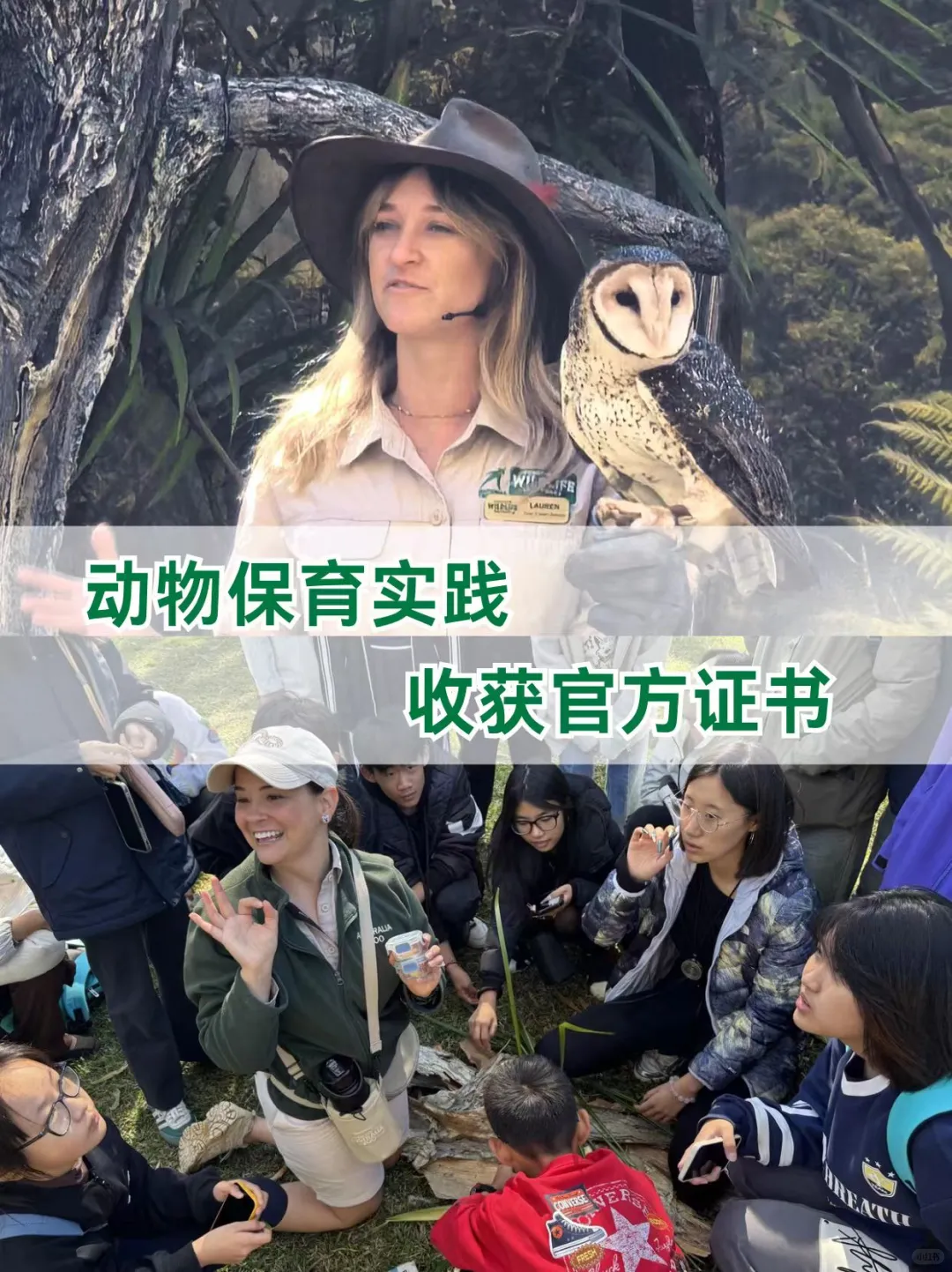 2026澳新游学清单🐨南半球反季节出行攻略
