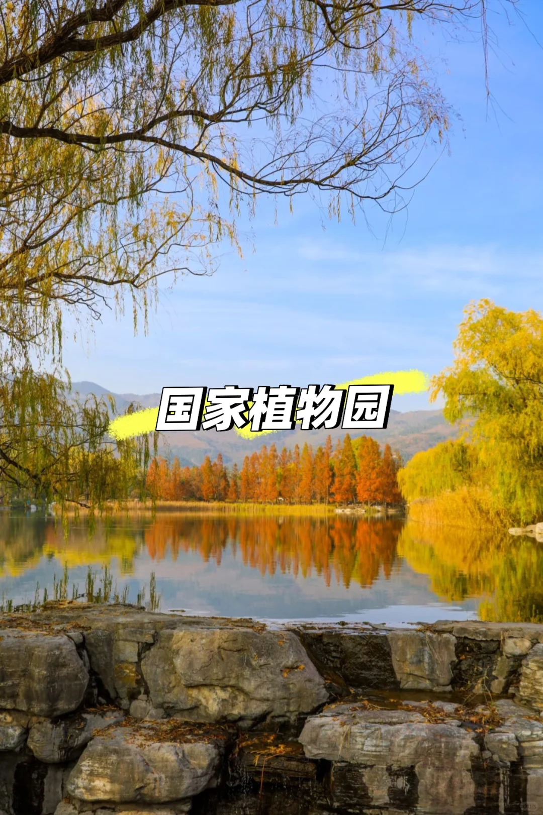 11月初北京必逛的citywalk和赏秋路线❗️❗️