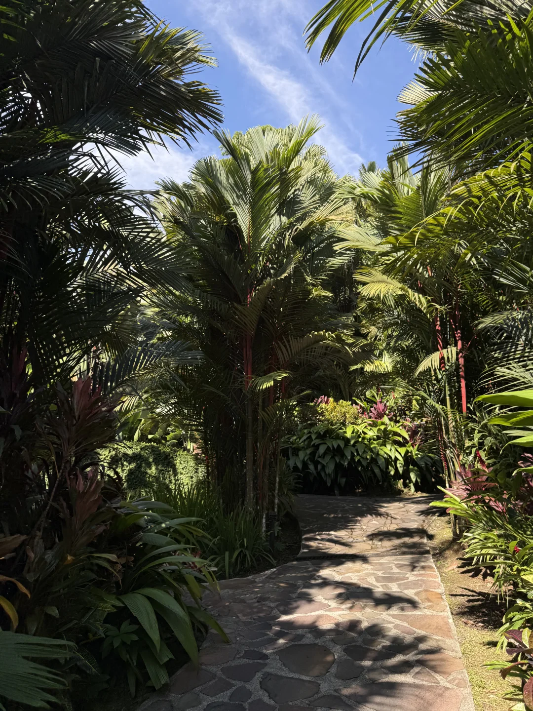 哥斯达黎加🇨🇷｜最全旅游攻略（上）