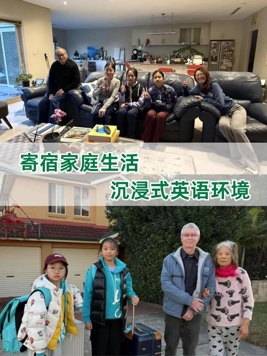 2026澳新游学清单🐨南半球反季节出行攻略