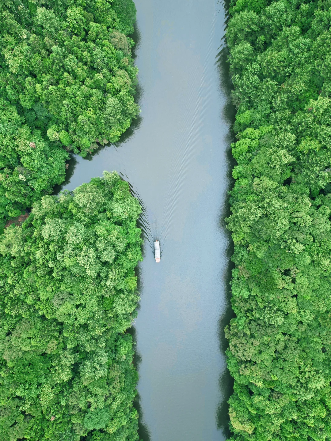 《国家地理》没骗我！真的是被低估的宝藏小城