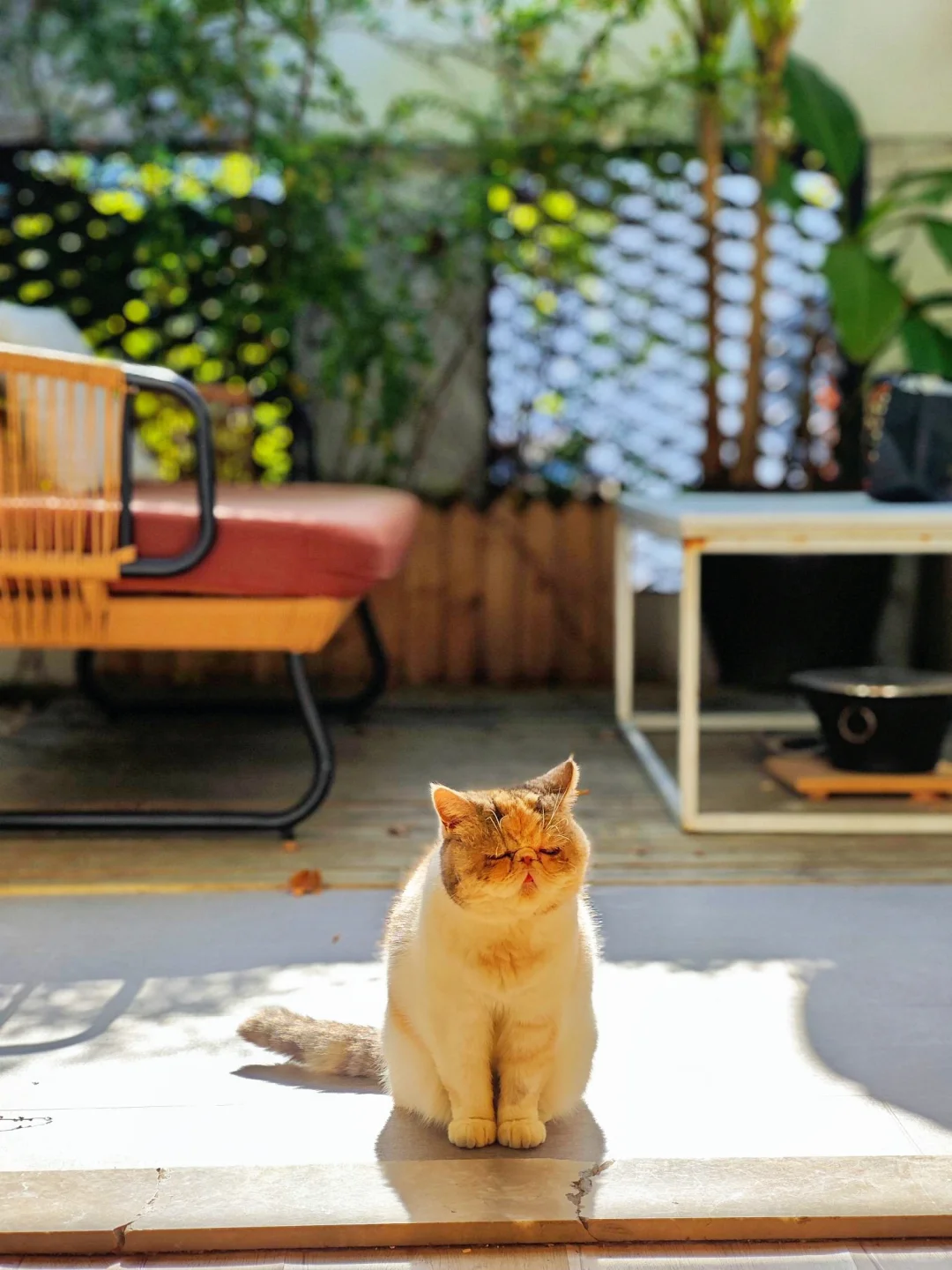 苏州攻略｜实用党必看✨！