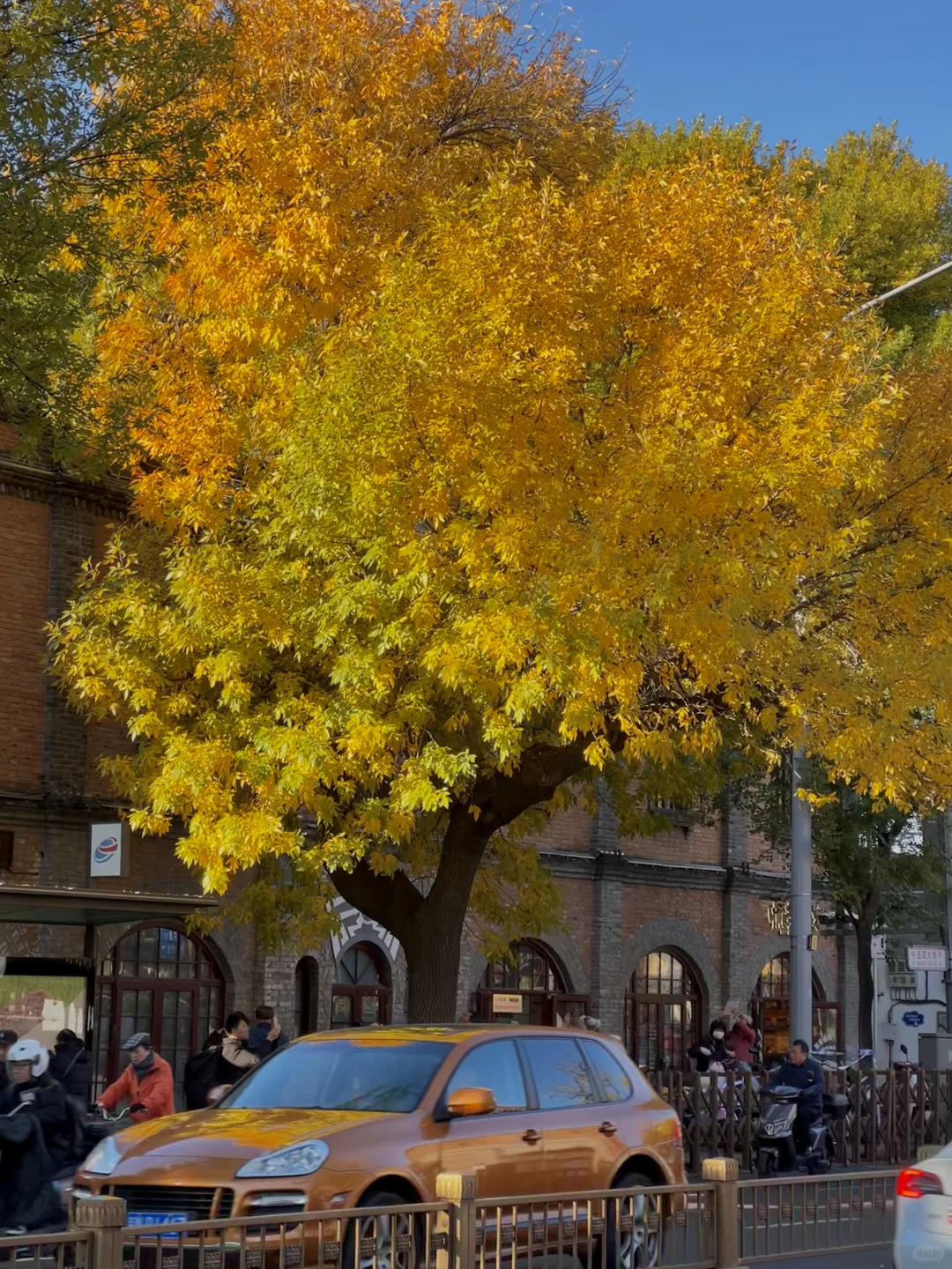 10.21live图｜北平的秋天，我替你看了‼️