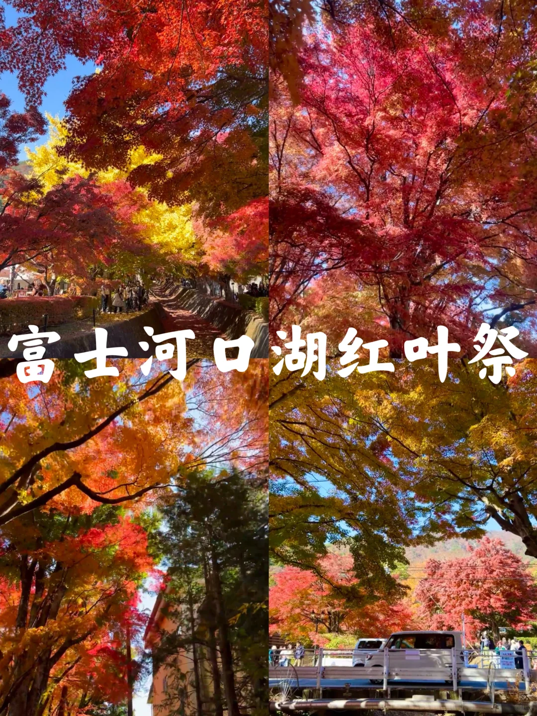 富士山｜秋季十大必打卡景点