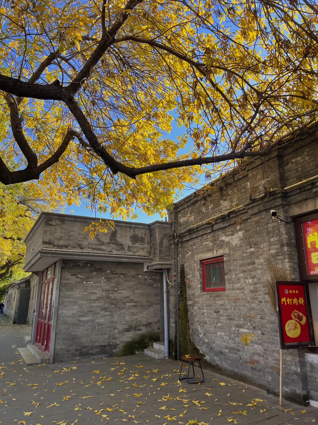 10.21live图｜北平的秋天，我替你看了‼️