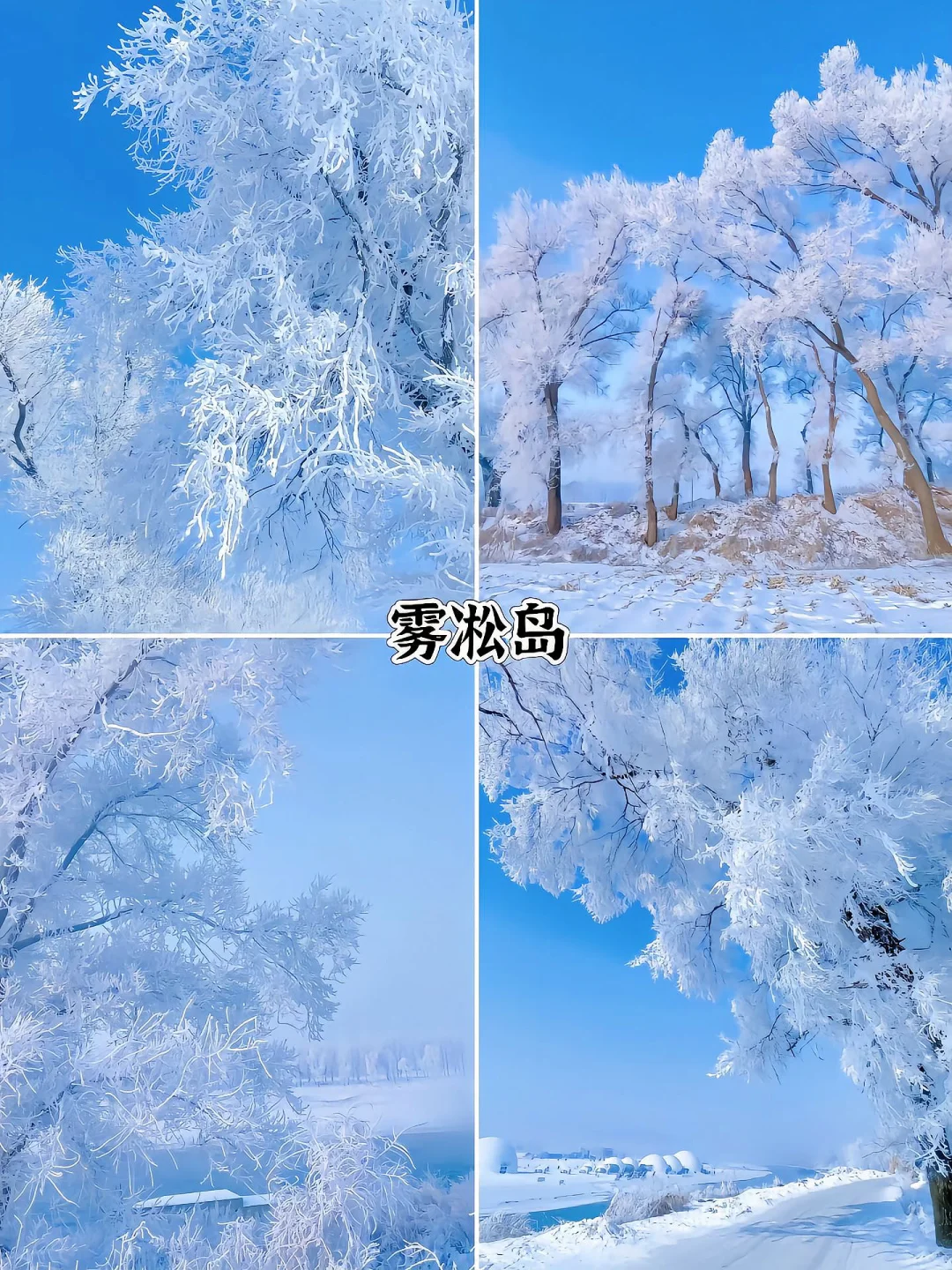 去哈尔滨必打卡的九大景点